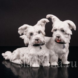Статуэтка собак из фарфора Две болонки, Frankenthal, Германия,, 1949-64 гг.