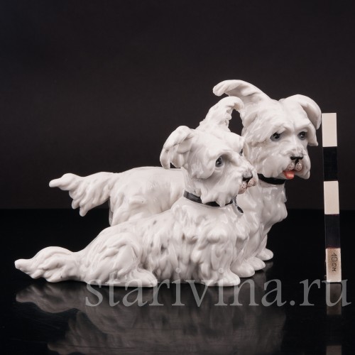 Статуэтка собак из фарфора Две болонки, Frankenthal, Германия, 1949-64 гг.
