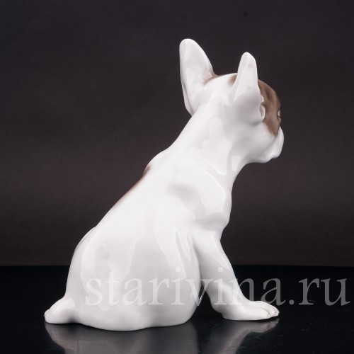 Фарфоровая статуэтка собаки Щенок французского бульдога, Rosenthal, Германия, 1923-24 гг.