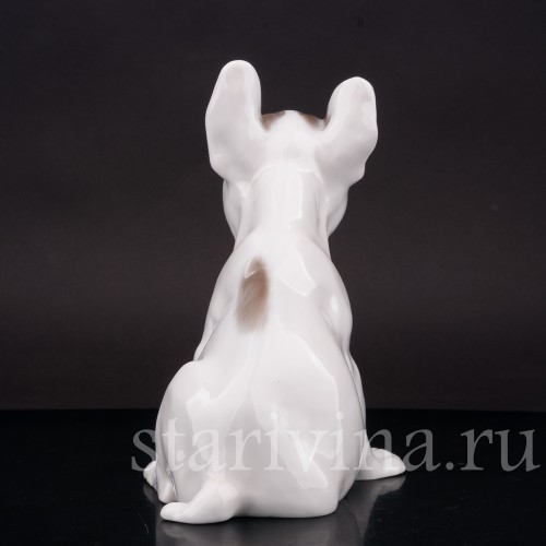 Фарфоровая статуэтка собаки Щенок французского бульдога, Rosenthal, Германия, 1923-24 гг.