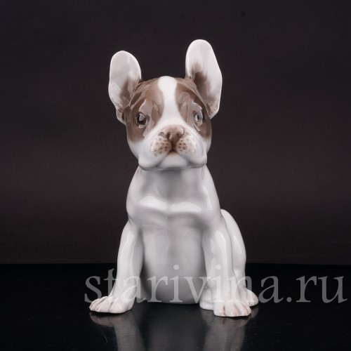 Фарфоровая статуэтка собаки Щенок французского бульдога, Rosenthal, Германия, 1923-24 гг.
