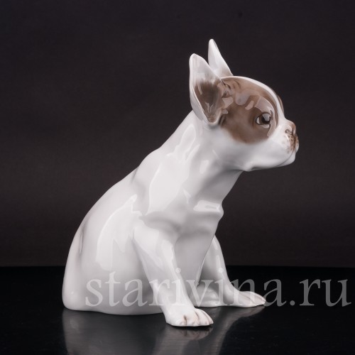 Фарфоровая статуэтка собаки Щенок французского бульдога, Rosenthal, Германия, 1923-24 гг.