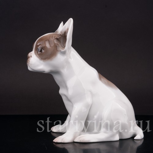 Фарфоровая статуэтка собаки Щенок французского бульдога, Rosenthal, Германия, 1923-24 гг.