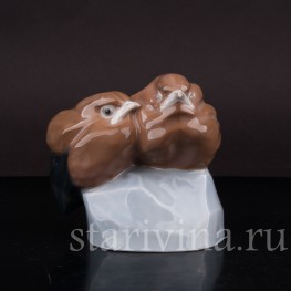 Фигурка птиц из фарфора Два птенца, Heubach, Германия, нач. 20 века.
