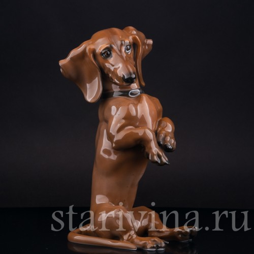 Статуэтка собаки из фарфора Сидящая такса, Rosenthal, Германия, 1950 гг.