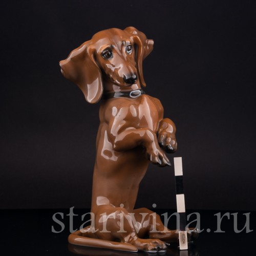 Статуэтка собаки из фарфора Сидящая такса, Rosenthal, Германия, 1950 гг.