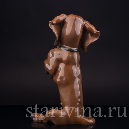 Статуэтка собаки из фарфора Сидящая такса, Rosenthal, Германия, 1950 гг.