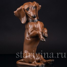 Статуэтка собаки из фарфора Сидящая такса, Rosenthal, Германия, 1950 гг.