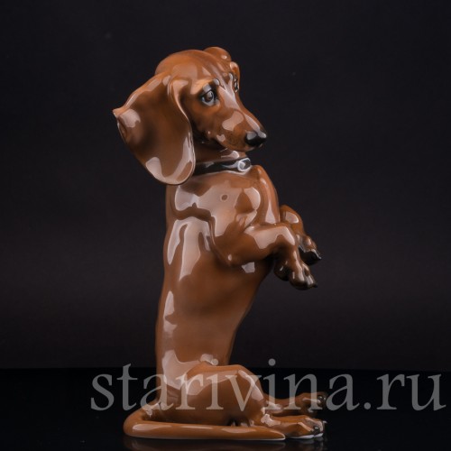 Статуэтка собаки из фарфора Сидящая такса, Rosenthal, Германия, 1950 гг.