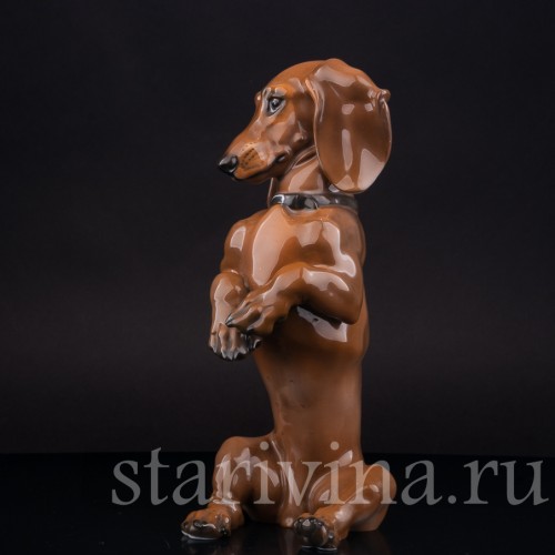 Статуэтка собаки из фарфора Сидящая такса, Rosenthal, Германия, 1950 гг.