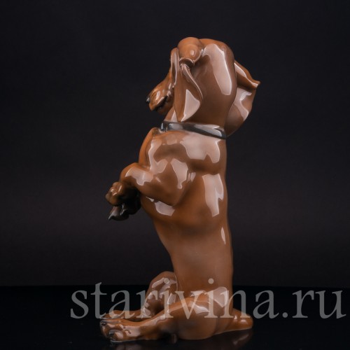 Статуэтка собаки из фарфора Сидящая такса, Rosenthal, Германия, 1950 гг.