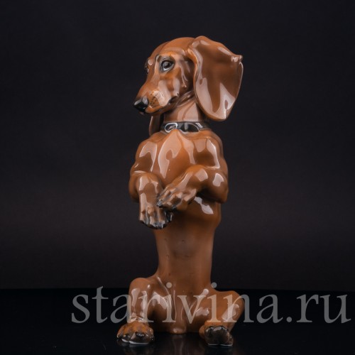 Статуэтка собаки из фарфора Сидящая такса, Rosenthal, Германия, 1950 гг.