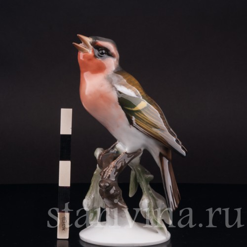 Фарфоровая статуэтка птицы Зяблик, Rosenthal, Германия, 1950 гг.