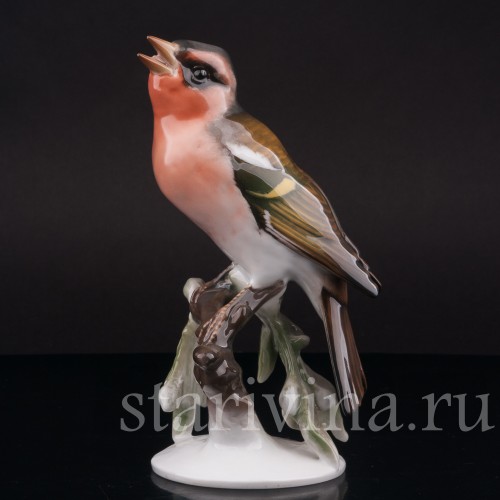 Фарфоровая статуэтка птицы Зяблик, Rosenthal, Германия, 1950 гг.