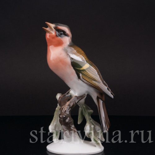 Фарфоровая статуэтка птицы Зяблик, Rosenthal, Германия, 1950 гг.