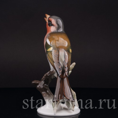 Фарфоровая статуэтка птицы Зяблик, Rosenthal, Германия, 1950 гг.