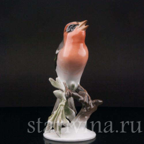 Фарфоровая статуэтка птицы Зяблик, Rosenthal, Германия, 1950 гг.
