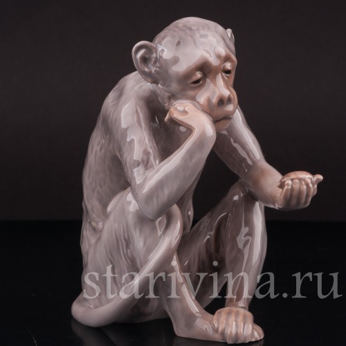 Фарфоровая фигурка "Философ", обезьяна с черепашкой, Bing & Grondahl, Дания, 1948-52 гг.