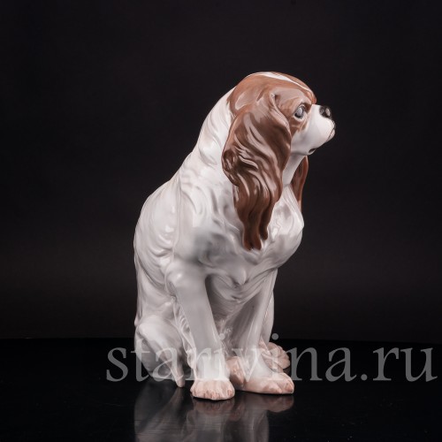 Статуэтка собаки из фарфора Кинг чарльз спаниель, Rosenthal, Германия, 1920 год.