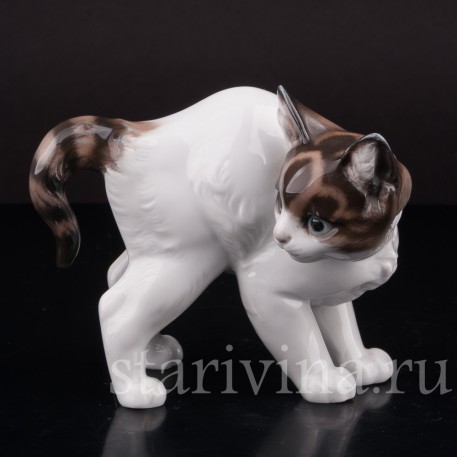 Фарфоровая фигурка Котёнок с выгнутой спинкой, Rosenthal, Германия, 1950 гг.