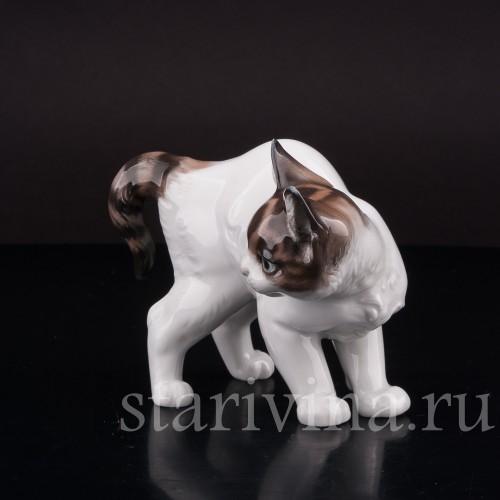 Фарфоровая фигурка Котёнок с выгнутой спинкой, Rosenthal, Германия, 1950 гг.