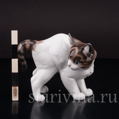 Фарфоровая фигурка Котёнок с выгнутой спинкой, Rosenthal, Германия, 1950 гг.