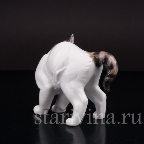 Фарфоровая фигурка Котёнок с выгнутой спинкой, Rosenthal, Германия, 1950 гг.