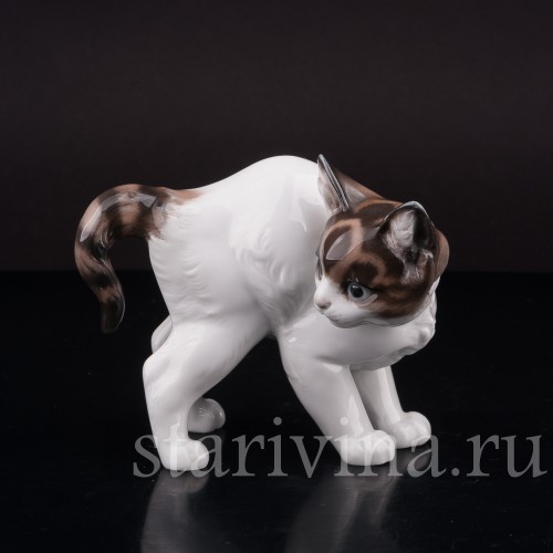 Фарфоровая фигурка Котёнок с выгнутой спинкой, Rosenthal, Германия, 1950 гг.