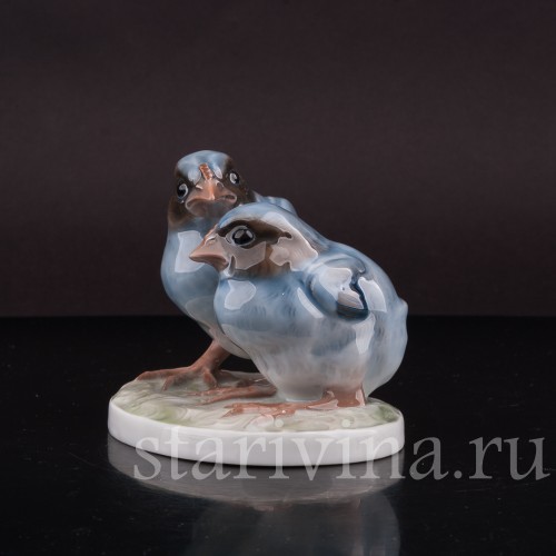 Фигурка птиц из фарфора Два птенца дроздов Rosenthal, Германия, 1923 год.