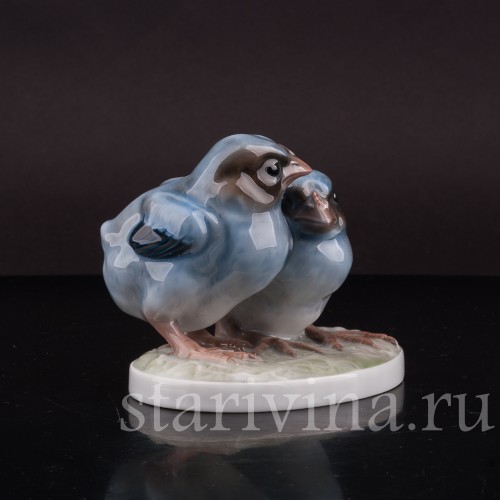 Фигурка птиц из фарфора Два птенца дроздов Rosenthal, Германия, 1923 год.