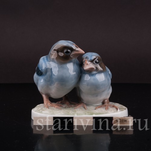 Фигурка птиц из фарфора Два птенца дроздов Rosenthal, Германия, 1923 год.