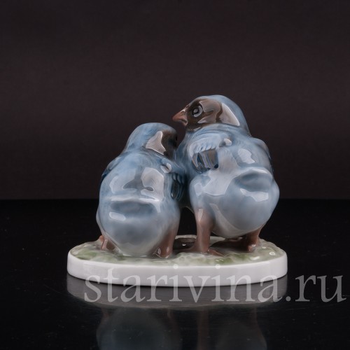 Фигурка птиц из фарфора Два птенца дроздов Rosenthal, Германия, 1923 год.