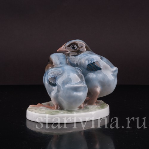 Фигурка птиц из фарфора Два птенца дроздов Rosenthal, Германия, 1923 год.