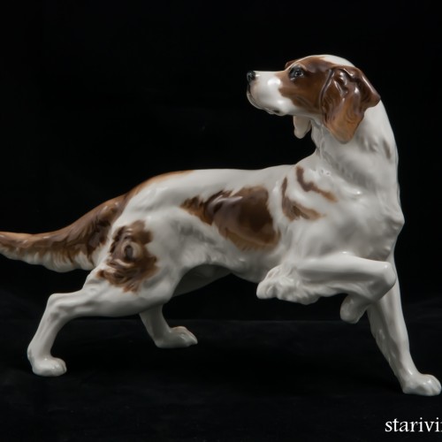 Сеттер, Hutschenreuther, Германия, 1955-68 гг