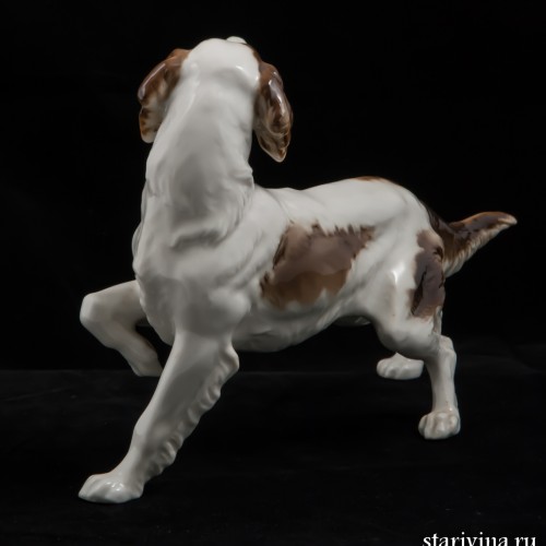 Сеттер, Hutschenreuther, Германия, 1955-68 гг