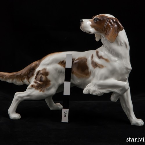 Сеттер, Hutschenreuther, Германия, 1955-68 гг