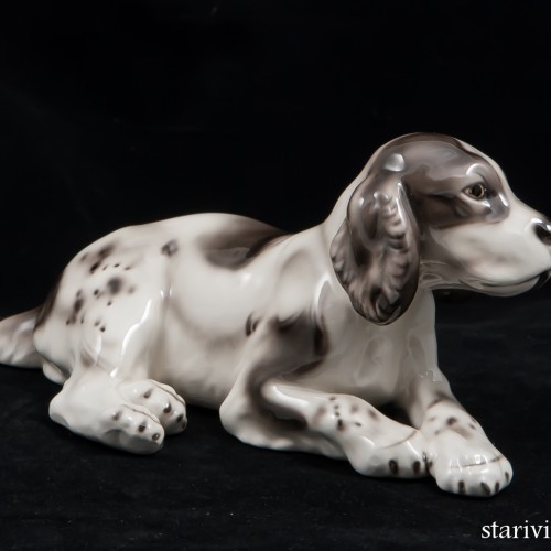 Лежащий щенок спаниеля, Royal Belvedere, Австрия