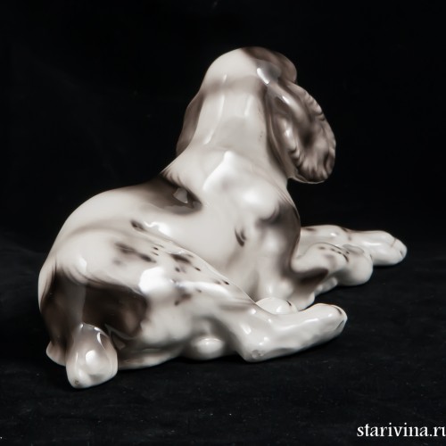 Лежащий щенок спаниеля, Royal Belvedere, Австрия