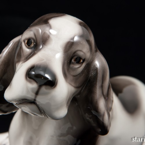 Лежащий щенок спаниеля, Royal Belvedere, Австрия