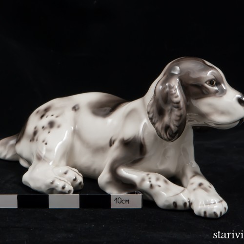 Лежащий щенок спаниеля, Royal Belvedere, Австрия