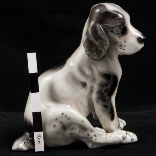 Сидящий щенок спаниеля, Royal Belvedere, Австрия