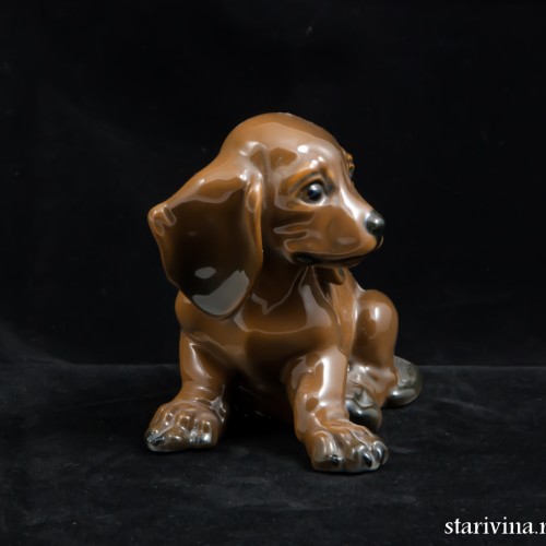 Щенок таксы, Rosenthal, Германия, 1970 гг