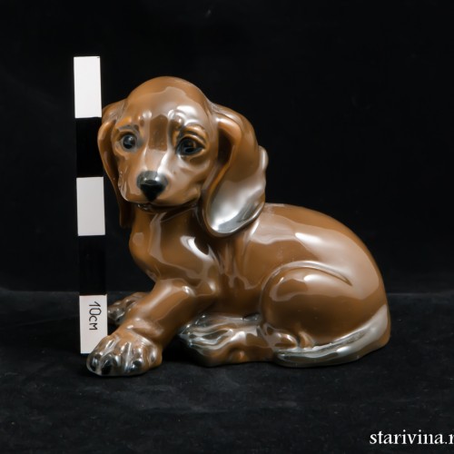 Щенок таксы, Rosenthal, Германия, 1970 гг