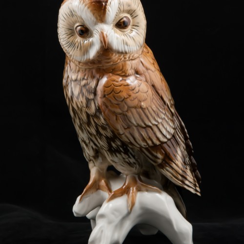 Большая сова, Karl Ens, Германия