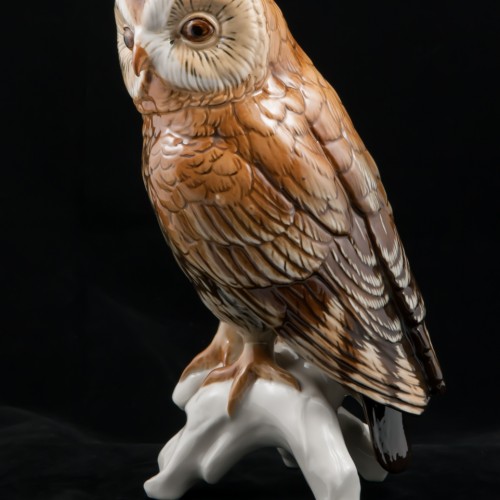 Большая сова, Karl Ens, Германия