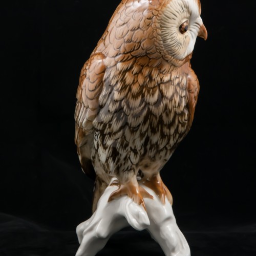 Большая сова, Karl Ens, Германия