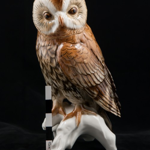 Большая сова, Karl Ens, Германия