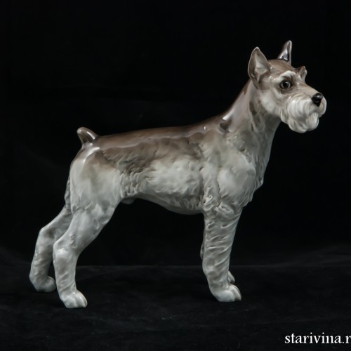 Ризеншнауцер, Hutschenreuther, Германия, 1970 гг