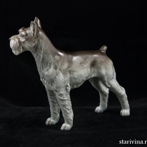 Ризеншнауцер, Hutschenreuther, Германия, 1970 гг