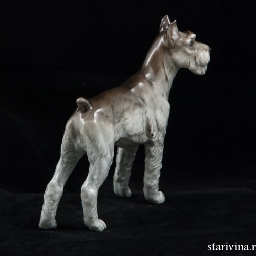 Ризеншнауцер, Hutschenreuther, Германия, 1970 гг